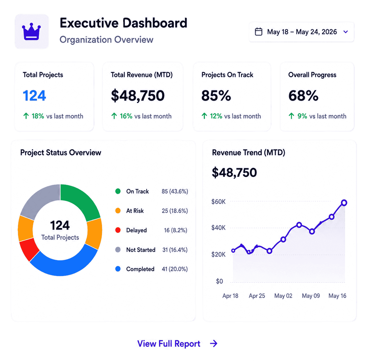 Executive dashboard showing strategic overview with key metrics and revenue charts