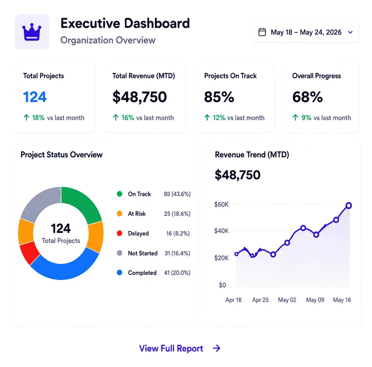 Executive dashboard showing strategic overview with key metrics and revenue charts