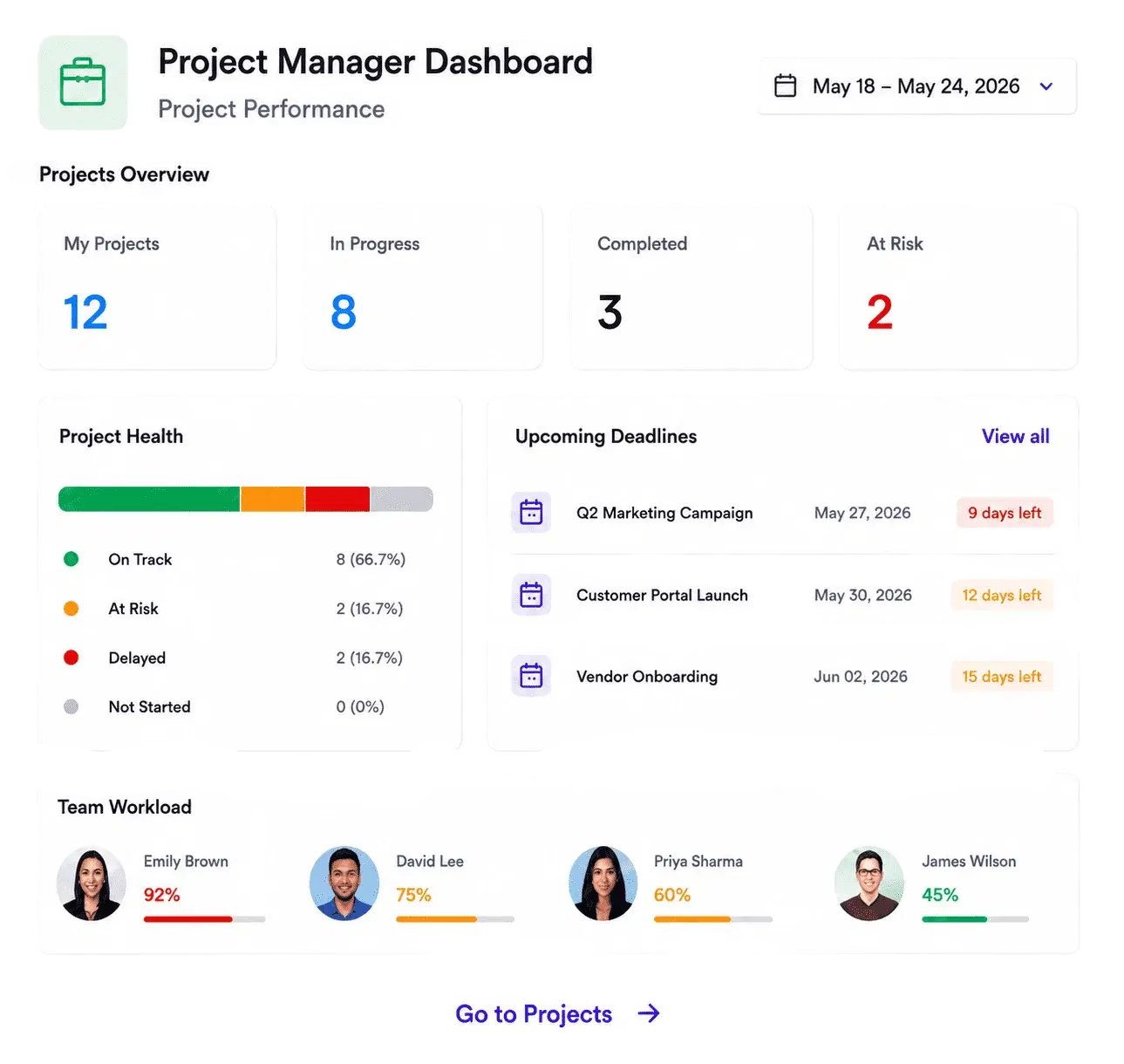 Project Manager dashboard showing project performance and task management