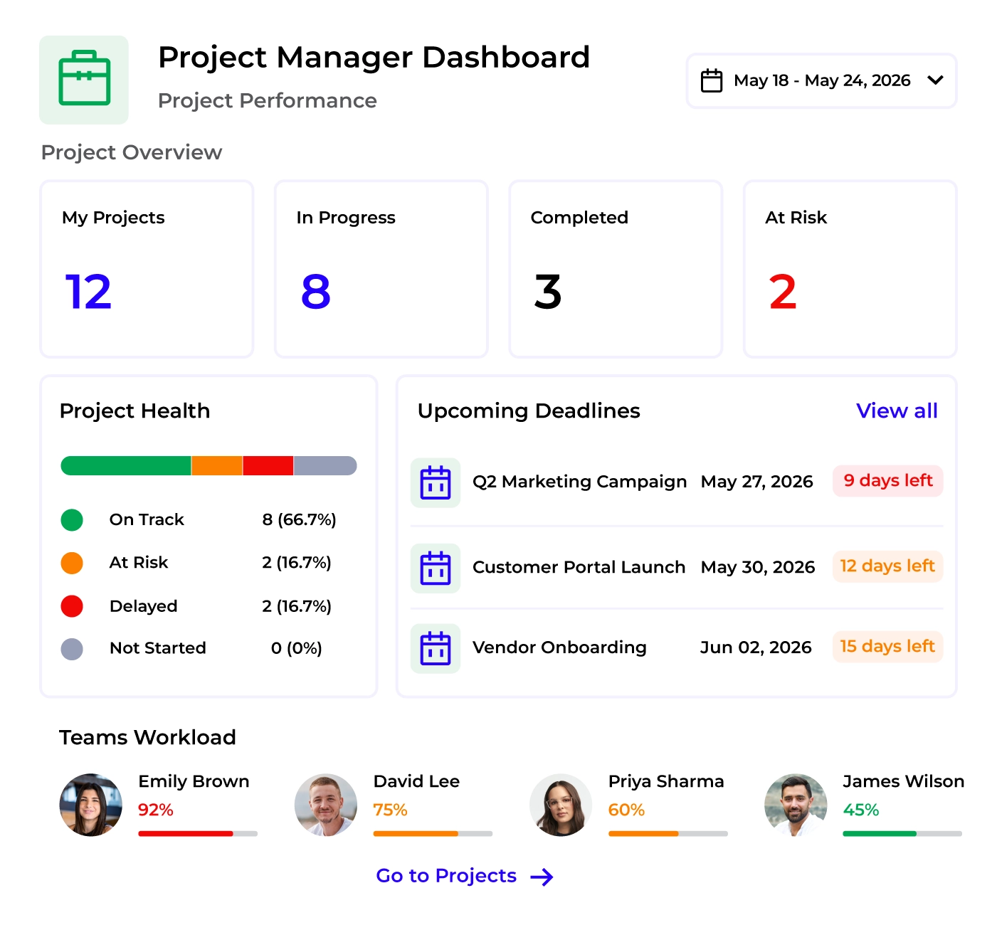 Project Manager dashboard showing project performance and task management